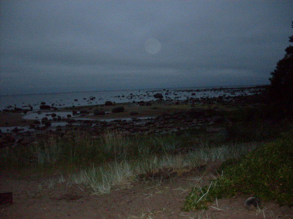 Ира Малеванная