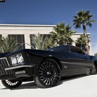 Владимир Гордеев