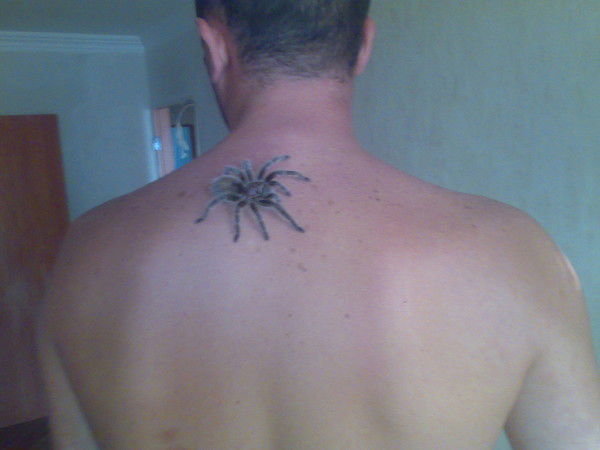 Павел Куничевский