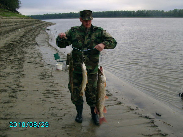 Алексей Сердитых