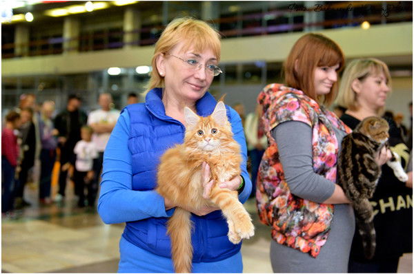 Марина Зеленина