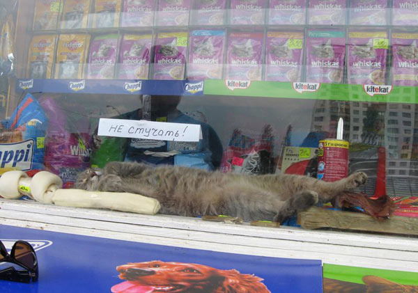 Артур Aртур