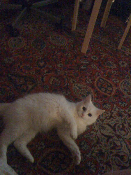 Роман Лазарев