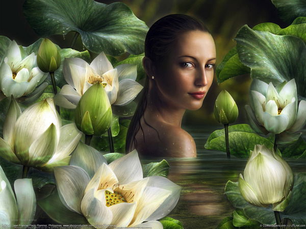 Светлана Феофанова