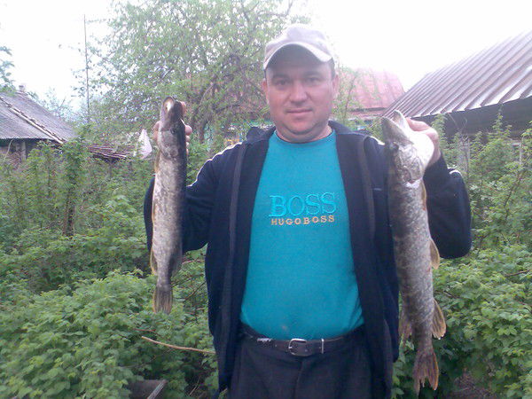 Роберт Хафизов