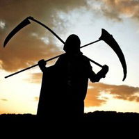 Андрей Волков