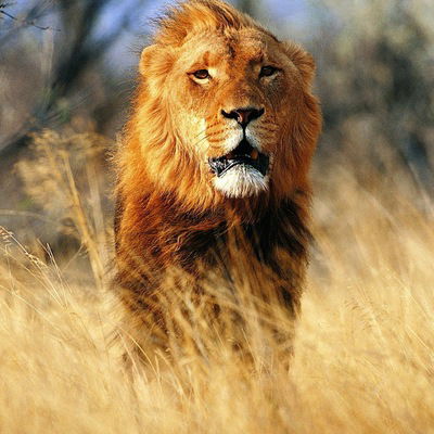 Ростислав Боженов