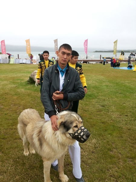 Джамбул Кожабай