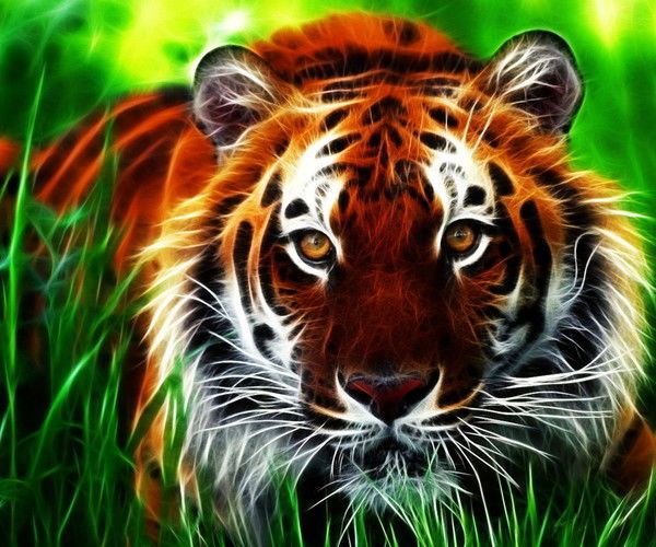 Осман Иразаев