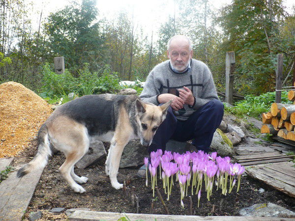 Павел Соколов