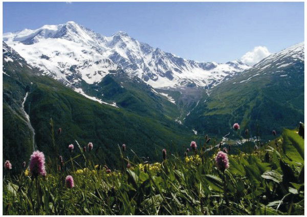 Зоир Давлатов