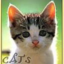 Люда Ананьина