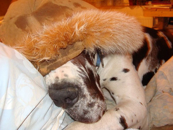 Владимир Котов