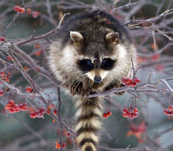 Владимир Пачкин