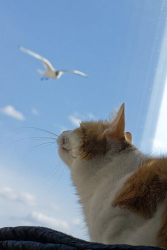 Алексей Филиппов