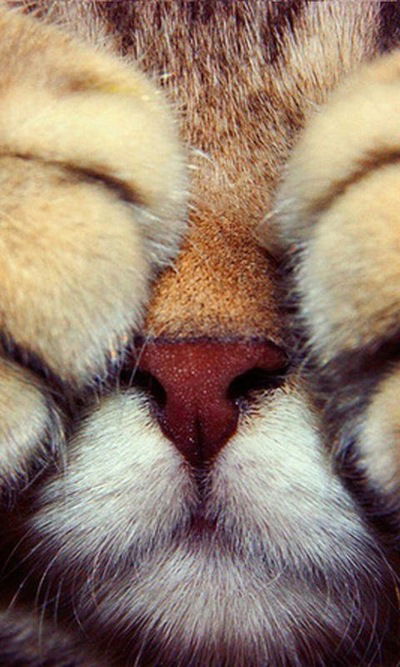 Наташа Обухова