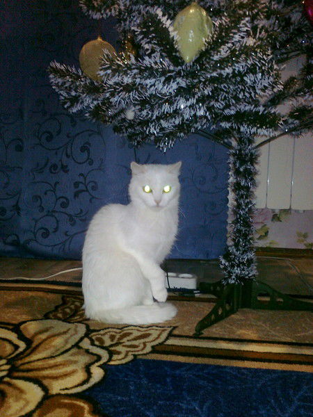 Смирнова Ирина