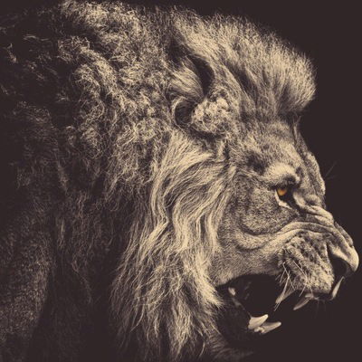 Влад Артамонов