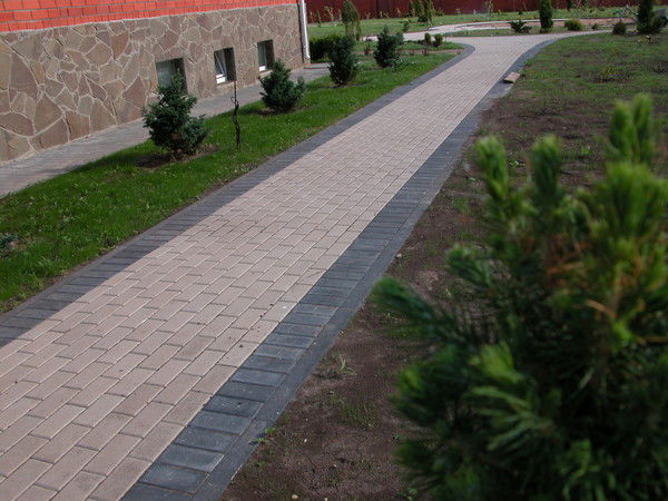 Светлана Преснякова