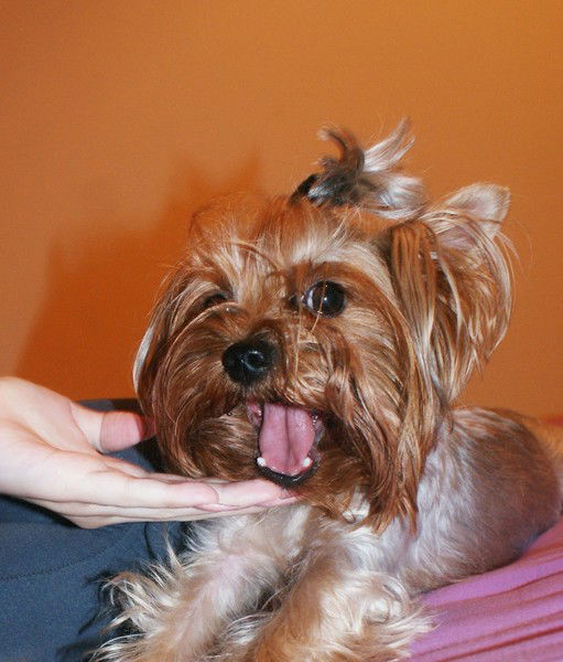 Лариса Егизбаева