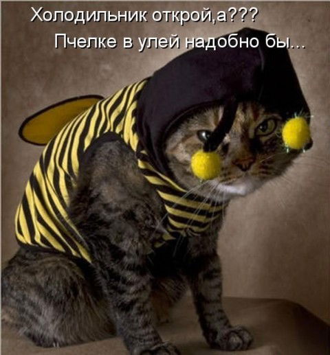 Татьяна Морозова