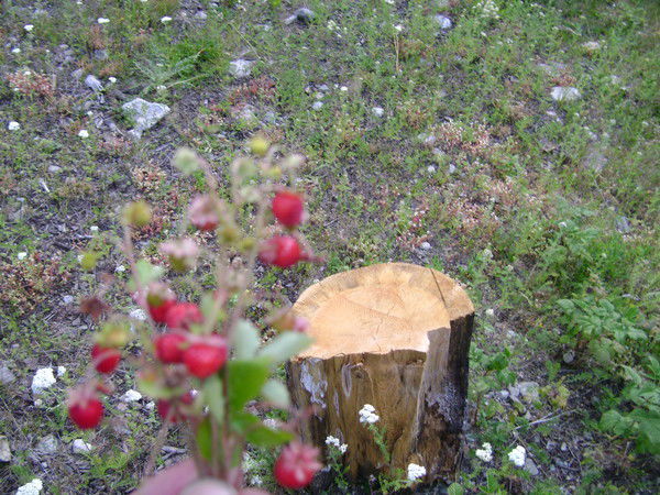 Ольга Махова