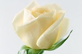 Махабат Муратбек Кызы