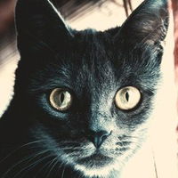 Кирилл Трофимов