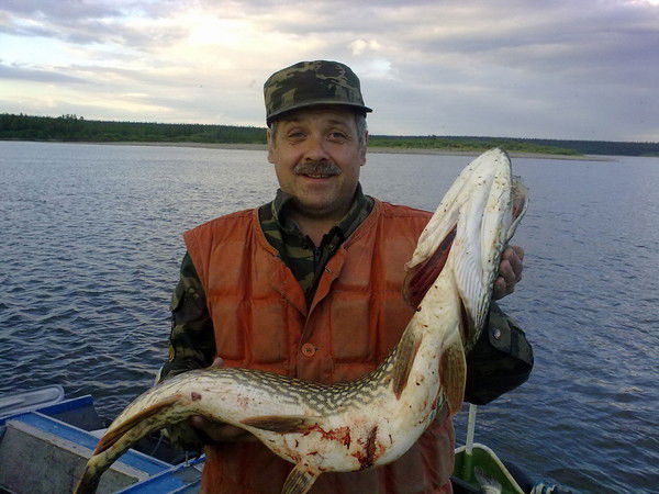 Сергей Шаповалов