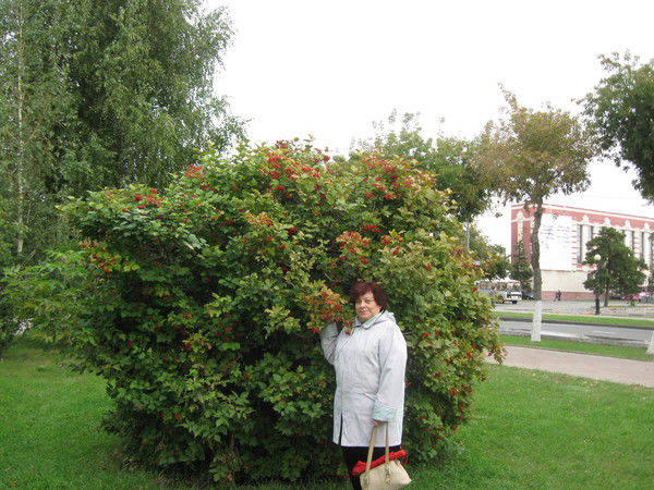 Елена Митрофанова