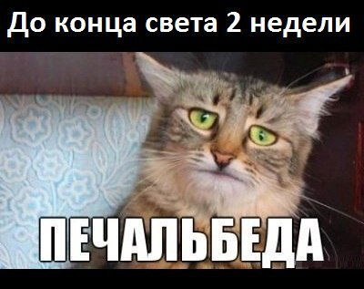 Илья Парфёнов