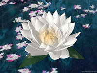 Светлана Карпишина