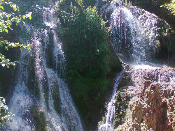 Зоя Ценоваумеркулова