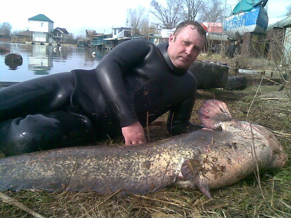 Андрей Резников