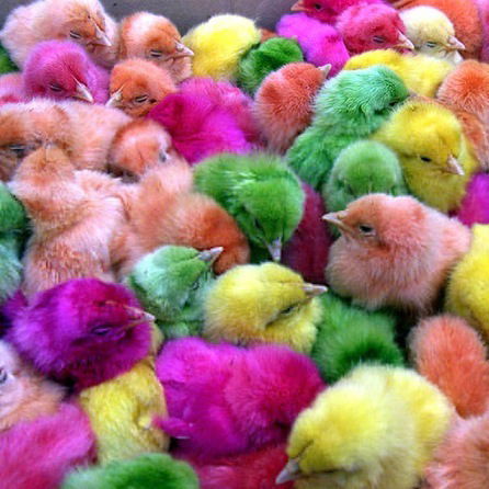 Инга Мелкова