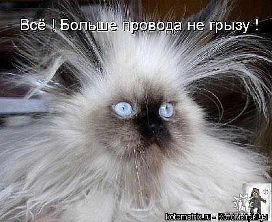 Юлия Просто Юлия