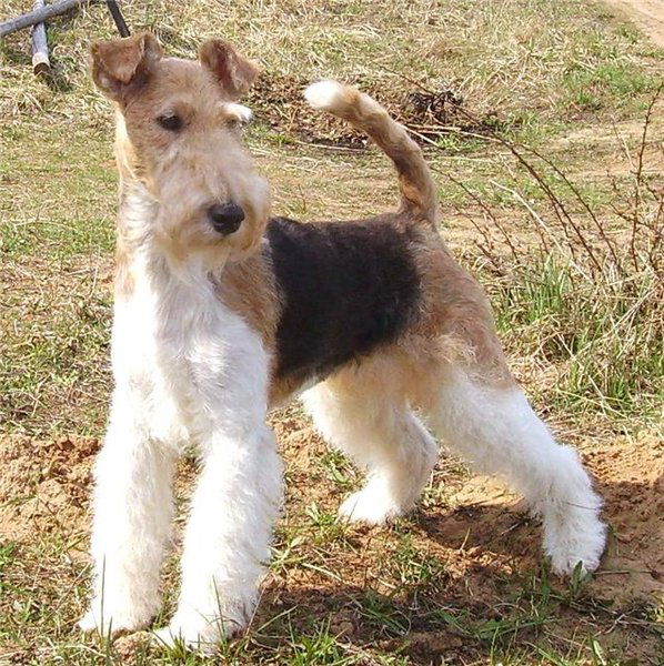 Татьяна Жигульская