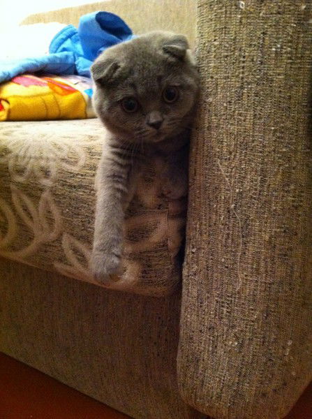 Екатер Екатер