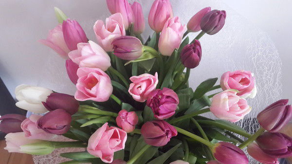 Татьяна Кулагина