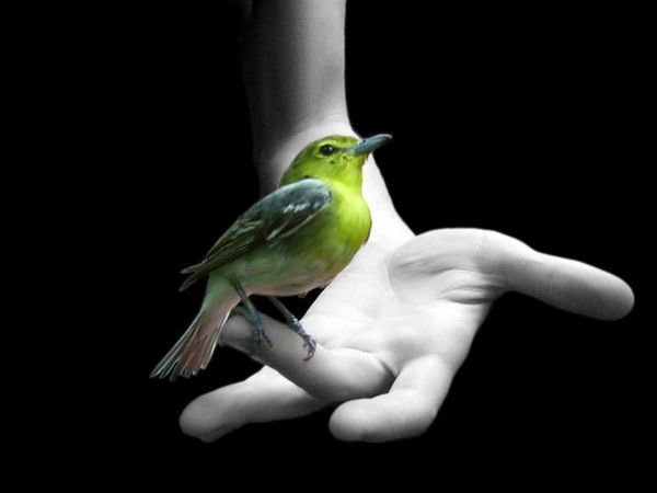 Нина Синицина