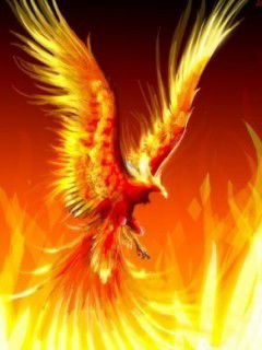 Василий Будур