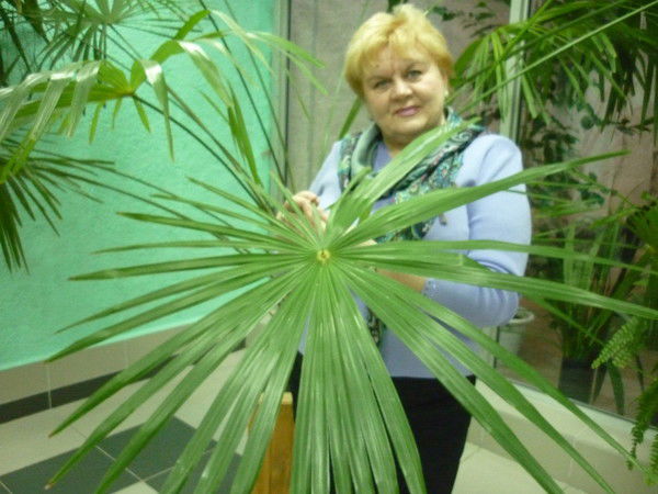 Наталия Голобородько