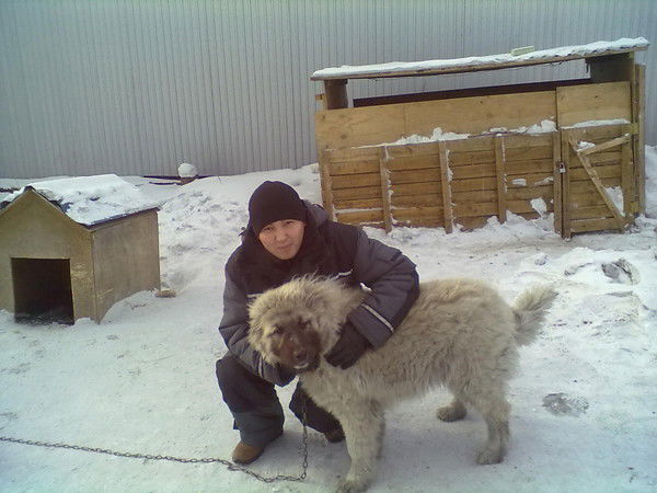 Бато Шойнжонов