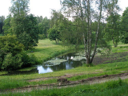 Киреева Юлия