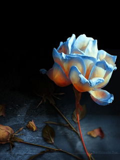 Юля Киселёва