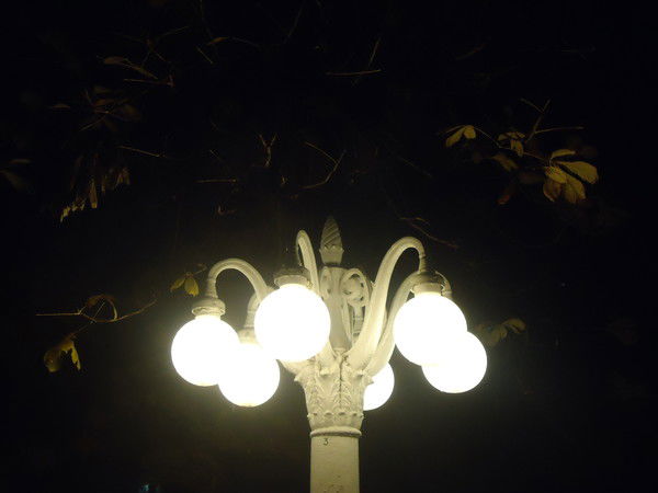 Светлана Казадаева