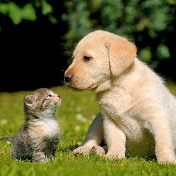 Жанар Мажит