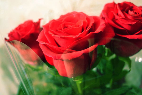 Наталья Наталья