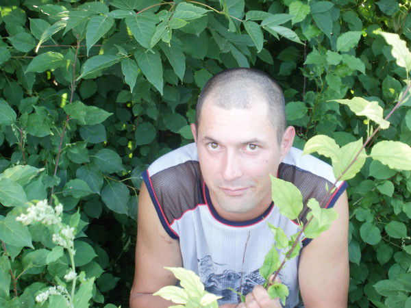 Николай Кармазинов