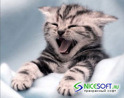 Катя Бондарева